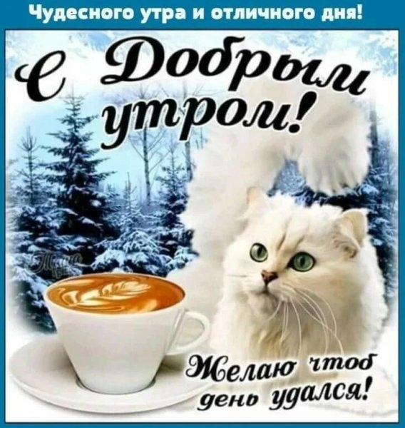 Доброго зимнего утра и хорошего дня