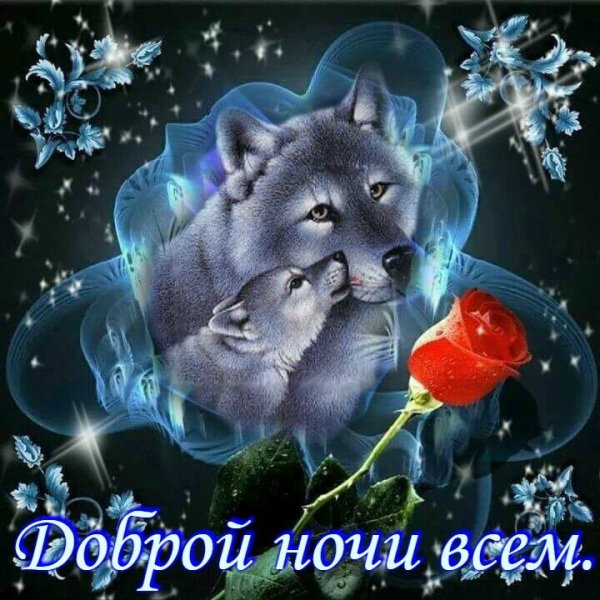 Пожелания доброго вечера и спокойной ночи