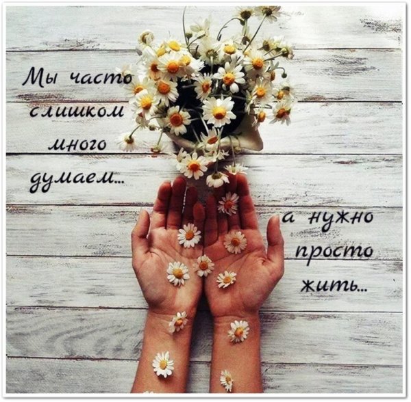 Открытки для поднятия настроения