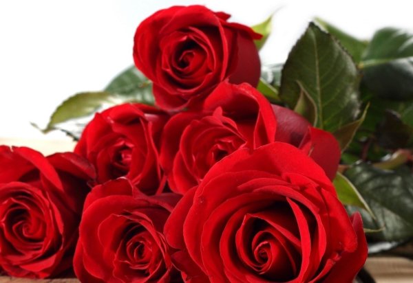 Поздравляю Вашу доченьку с днем рождения