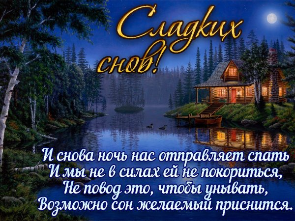 Прикольные пожелания спокойной ночи