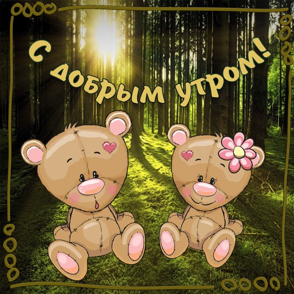 С добрым утром Медвежонок