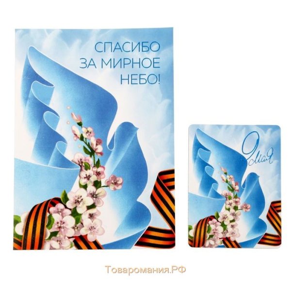 Спасибо за мирное небо над головой