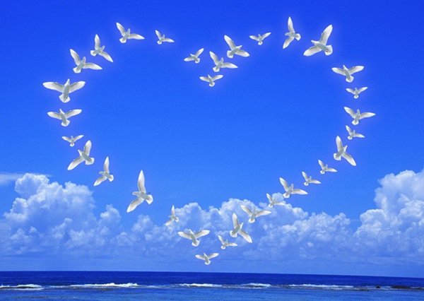 Пожелания мира и добра на земле