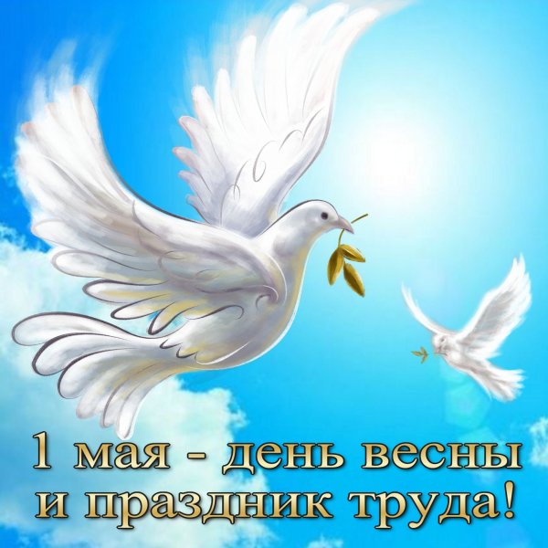 С днём Победы 9 мая мирного неба