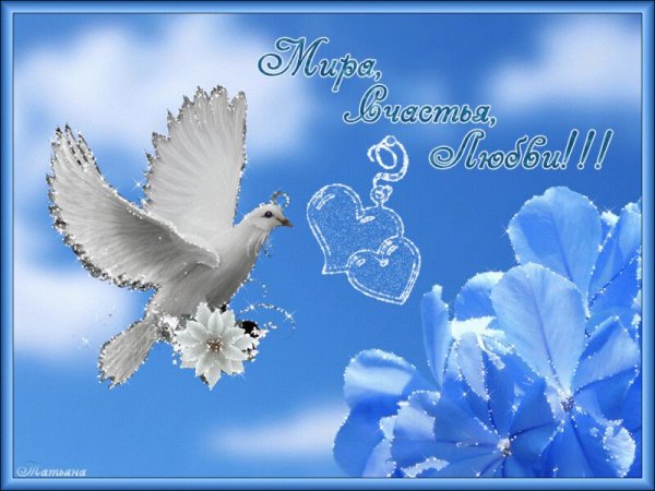 Добрый день птицы хорошего настроения