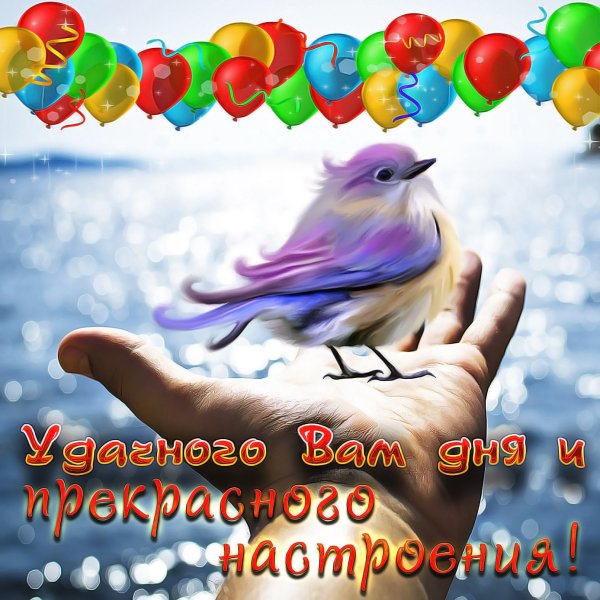 Желаю мирного неба над головой