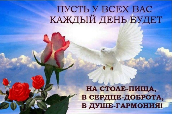 Поздравление со свободой