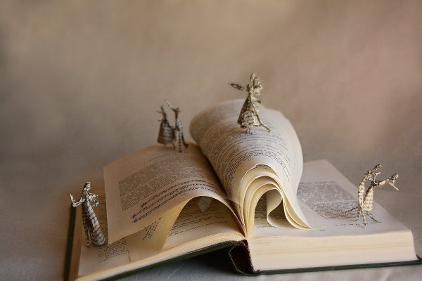 Капитанская дочка фон