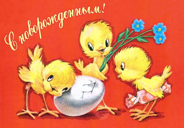 С днем рождения