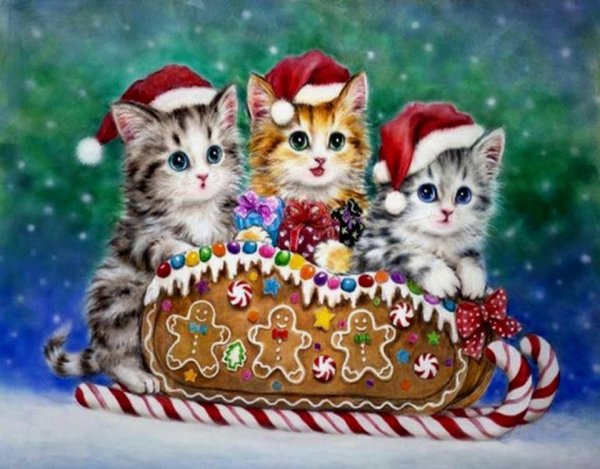 Новогодний котик