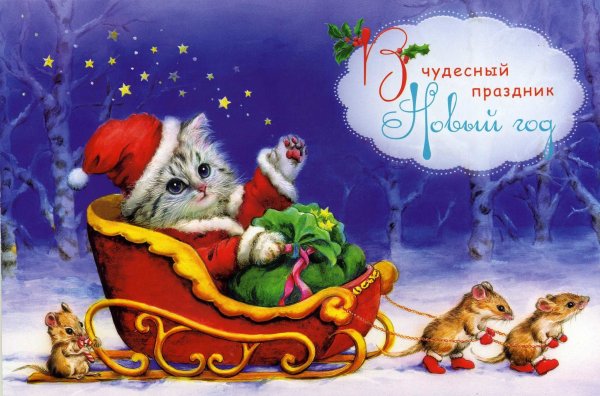 Новогодняя открытка с котом