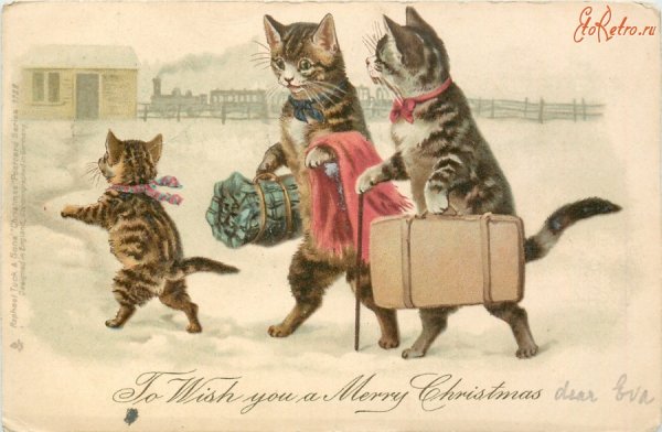 Винтажные коты