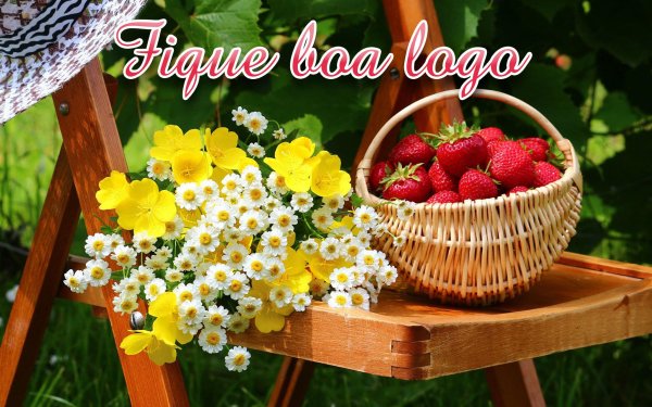 Цветы для выздоровления