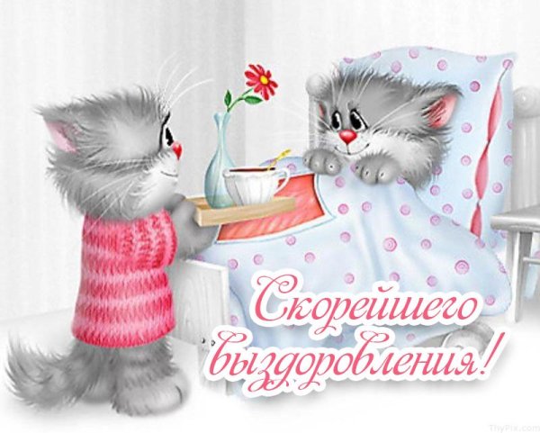 Выздоравливай котик