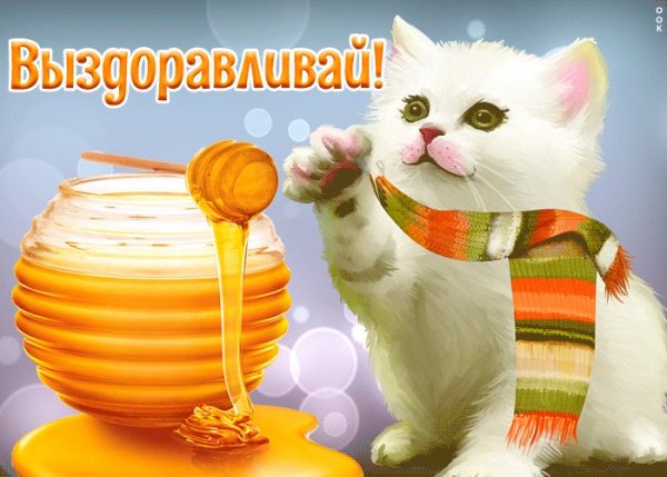 Выздоравливай картинки