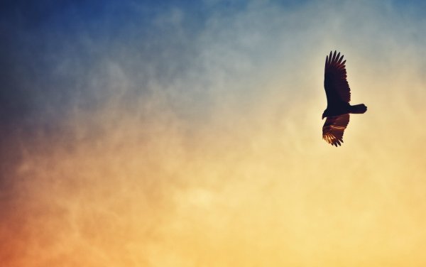 С днём рождения юноше