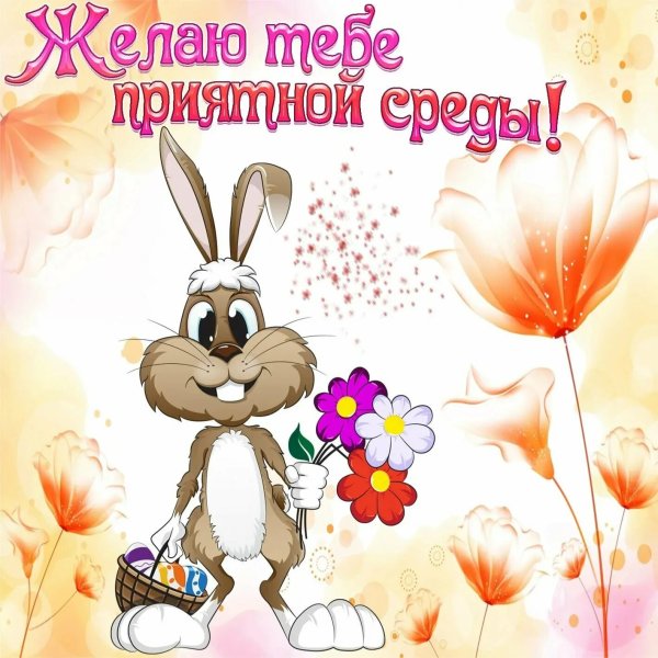 Прекрасной среды открытки