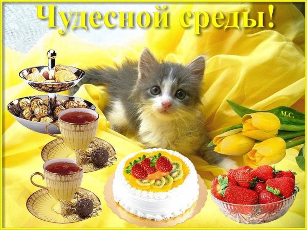 С добрым утром и хорошим днём среды