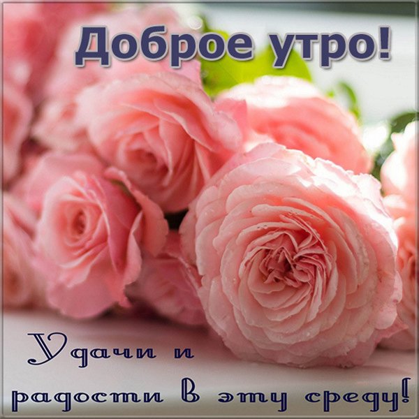 Доброе утро среда