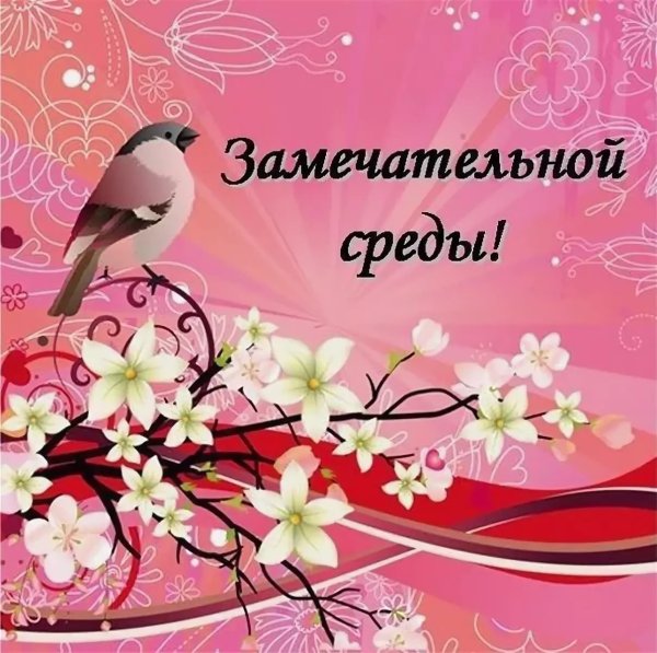 Летнего утра среды