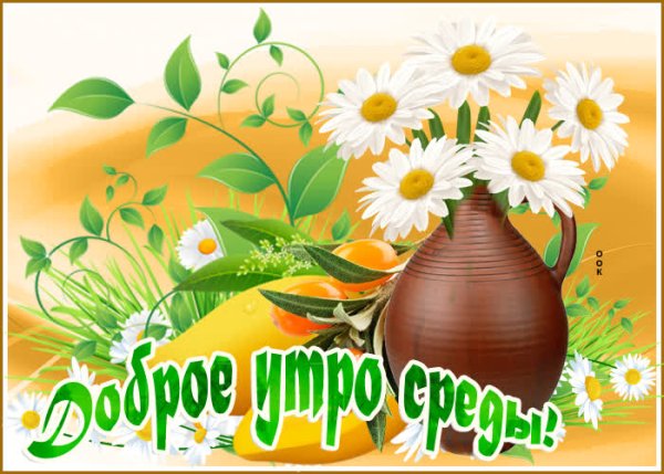 Хорошей среды