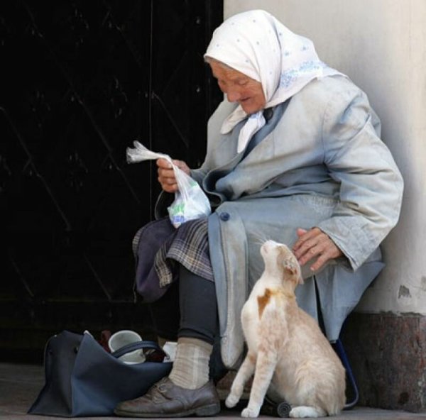 Афоризмы про старение