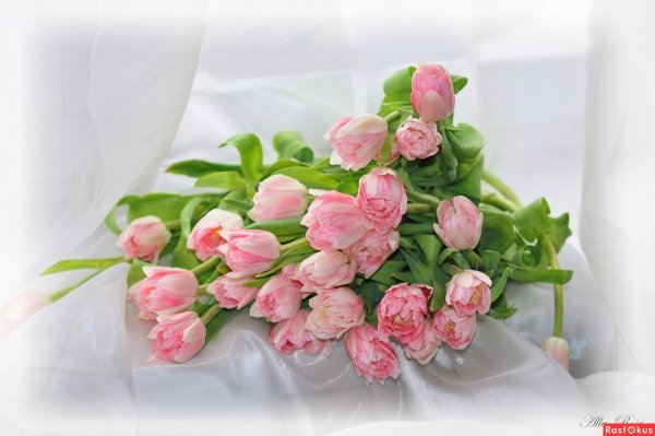 С днём рождения Олечка