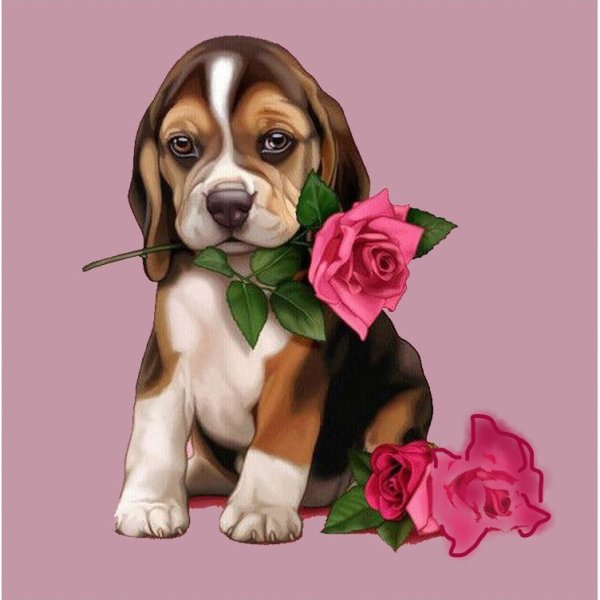 Собака с розой