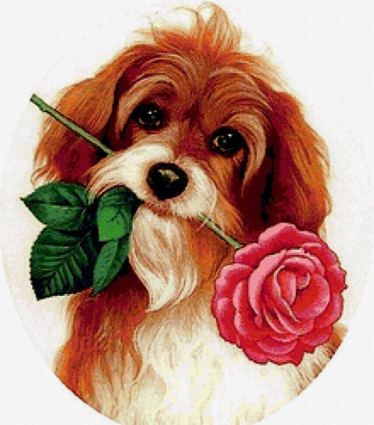 Собачка с цветами в зубах