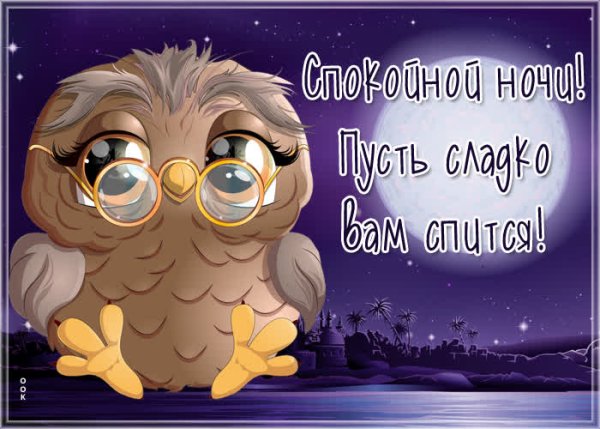 Прикольные пожелания спокойной ночи