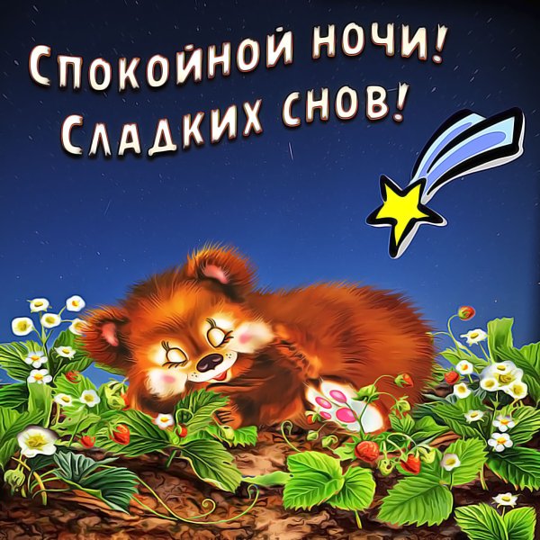 Открытки спокойной ночи прикольные