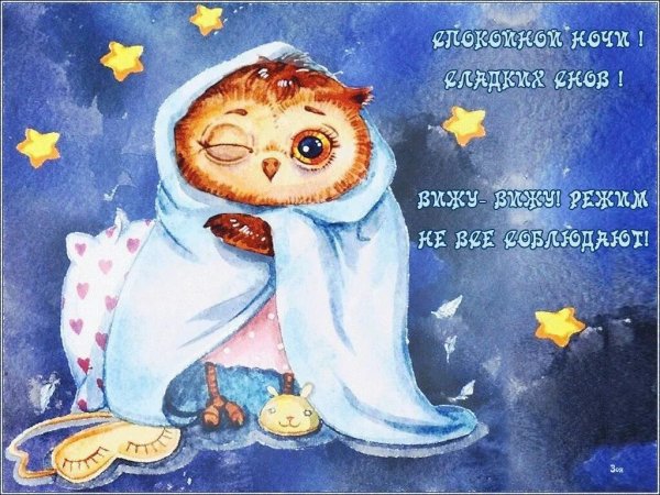 Открытки спокойной ночи прикольные