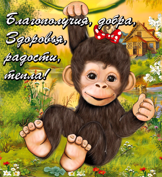 Поздравление с днем обезьян