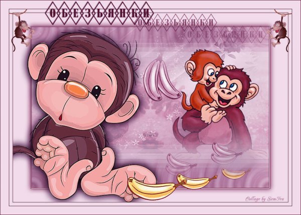 Всемирный день обезьян