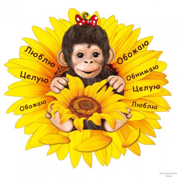 Смешные открытки