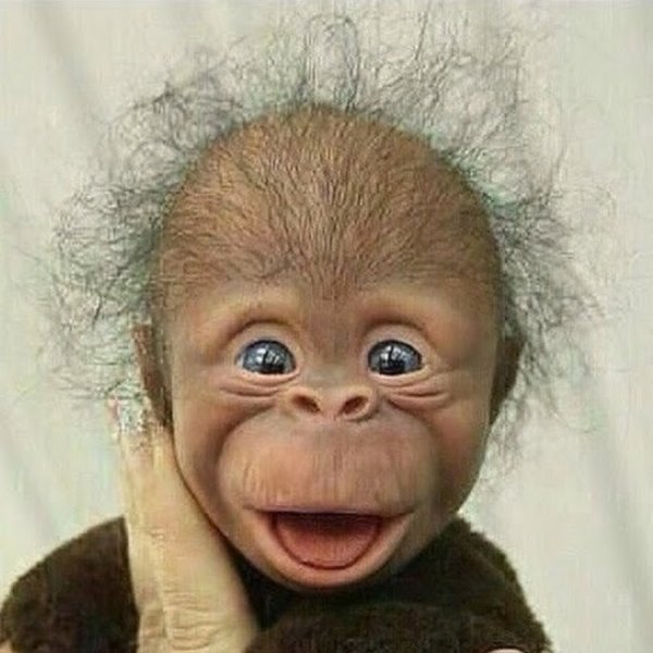 Обезьяна с цветами 8 марта