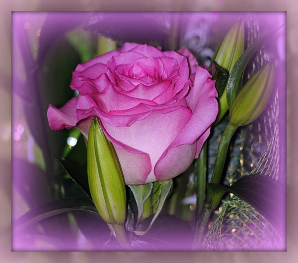 Открытки с надписью для тебя