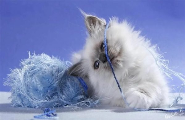 Открытки не грусти тебя любят