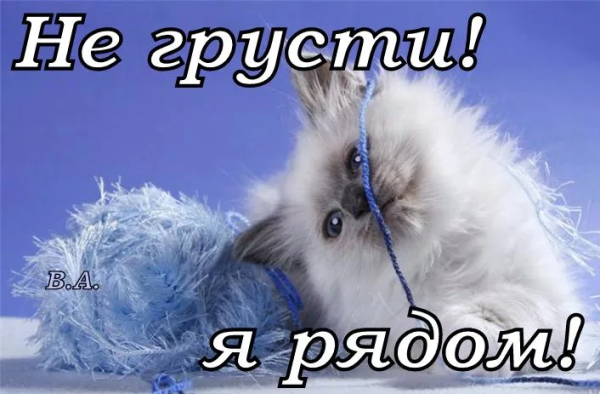 Открытки не грусти я с тобой