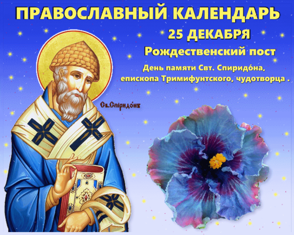 С праздником свт Спиридона Тримифунтского