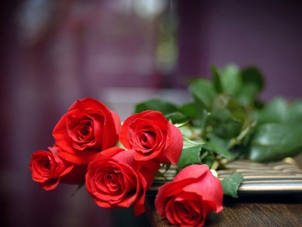 С днём рождения Елена Александровна красивые поздравления