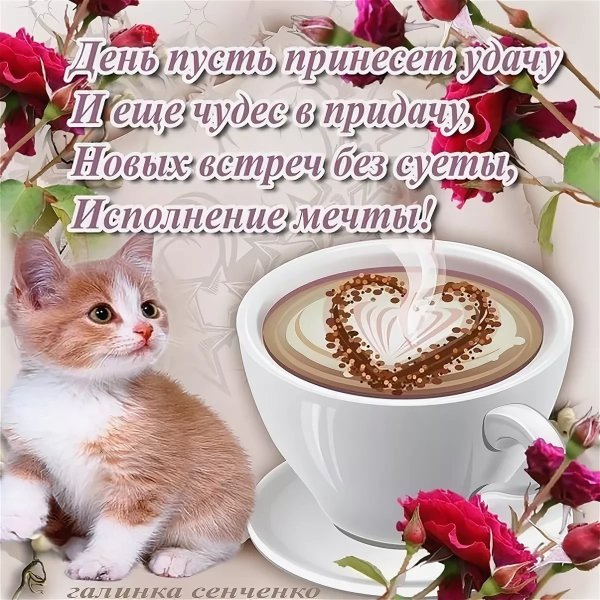 С добрым воскресным утром