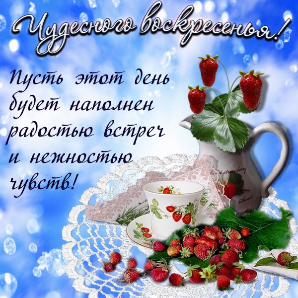 Прекрасного воскресного дня