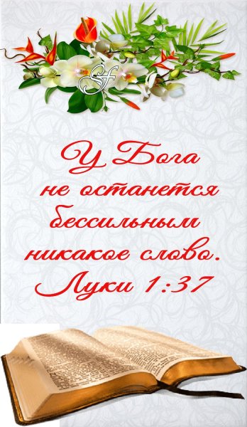 Открытки с библейскими стихами