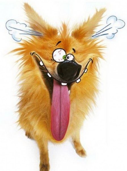 Открытки с выходными прикольные