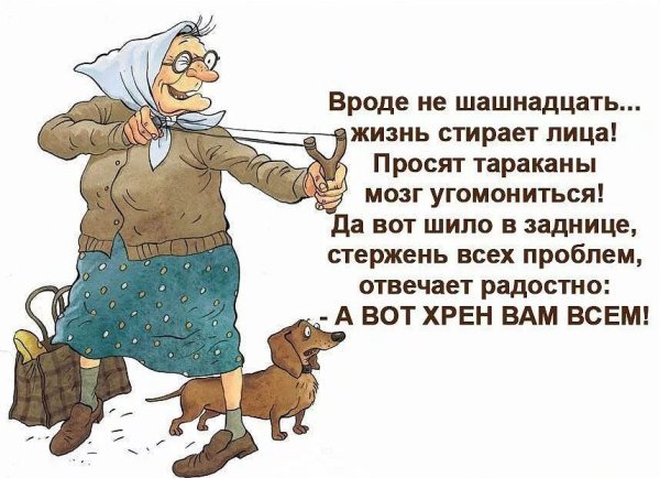 Найди пятачка