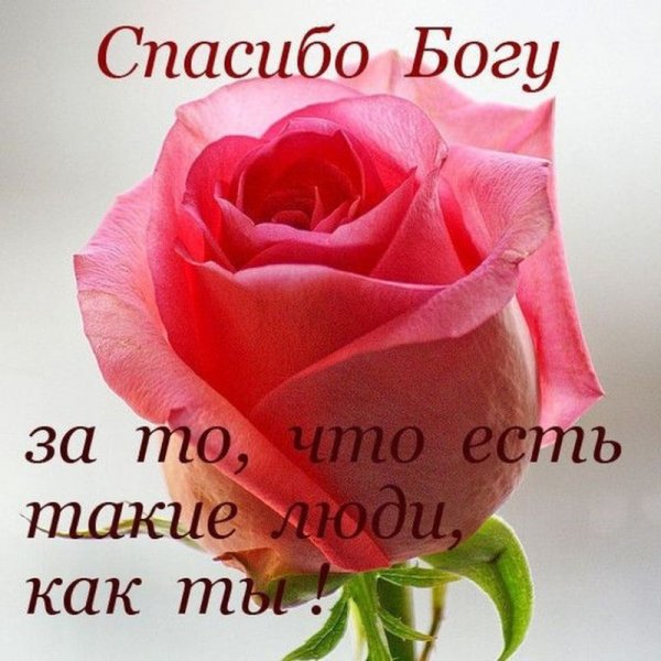 Спасибо Богу что есть такие люди как ты