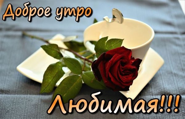 Картинки с добрым утром любимой