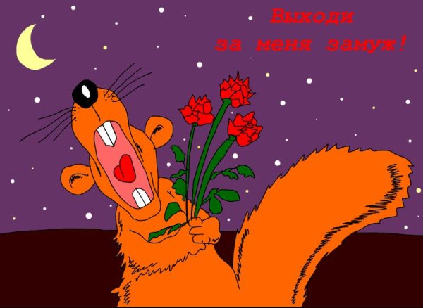 Смешные открытки любимой